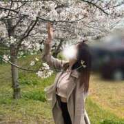 ヒメ日記 2026/04/01 19:45 投稿 もな Hip's-group越谷本店