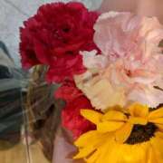 ヒメ日記 2025/08/06 10:00 投稿 まいこ 奥鉄オクテツ兵庫