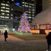 まいこ こんばんは 奥鉄オクテツ兵庫