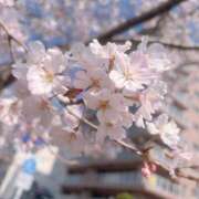 ヒメ日記 2026/03/31 09:03 投稿 すい 横浜ハッピーマットパラダイス