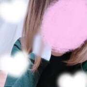 ヒメ日記 2025/11/12 11:34 投稿 えりかさん －PTA－