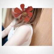 ヒメ日記 2025/11/13 10:05 投稿 えりかさん －PTA－