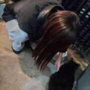 ヒメ日記 2024/12/28 00:06 投稿 なつき（花嫁） Yシャツと私