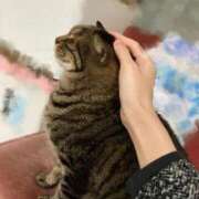 ヒメ日記 2025/04/08 22:09 投稿 なつき（花嫁） Yシャツと私