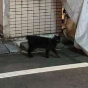 ヒメ日記 2025/04/28 03:05 投稿 なつき（花嫁） Yシャツと私