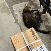 ヒメ日記 2025/06/02 16:31 投稿 なつき（花嫁） Yシャツと私