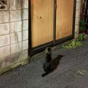 ヒメ日記 2025/07/11 22:25 投稿 なつき（花嫁） Yシャツと私