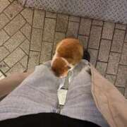 ヒメ日記 2026/03/28 21:36 投稿 なつき（花嫁） Yシャツと私