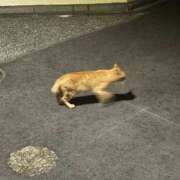 なつき（花嫁） 明日出勤 Yシャツと私