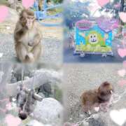 ヒメ日記 2025/11/03 12:30 投稿 美流-MIRU- luxury aroma 咲