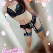 ヒメ日記 2024/12/16 16:02 投稿 筅(ささら) 黒薔薇