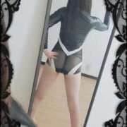 ヒメ日記 2025/02/11 03:30 投稿 筅(ささら) 黒薔薇