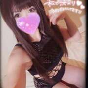 ヒメ日記 2025/04/06 19:15 投稿 筅(ささら) 黒薔薇