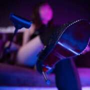 ヒメ日記 2025/04/07 16:03 投稿 筅(ささら) 黒薔薇