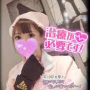 ヒメ日記 2025/05/28 20:01 投稿 筅(ささら) 黒薔薇