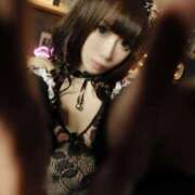 ヒメ日記 2025/06/15 12:00 投稿 筅(ささら) 黒薔薇