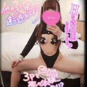 ヒメ日記 2025/07/22 16:00 投稿 筅(ささら) 黒薔薇