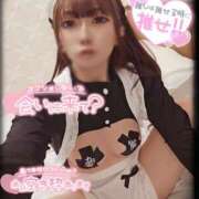 ヒメ日記 2025/08/19 06:00 投稿 筅(ささら) 黒薔薇