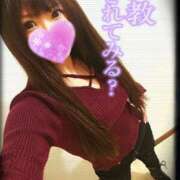 ヒメ日記 2025/09/20 08:01 投稿 筅(ささら) 黒薔薇