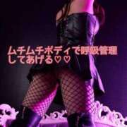 ヒメ日記 2025/09/28 08:01 投稿 筅(ささら) 黒薔薇