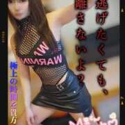 ヒメ日記 2025/11/27 03:34 投稿 筅(ささら) 黒薔薇