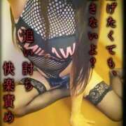 ヒメ日記 2025/11/28 18:01 投稿 筅(ささら) 黒薔薇