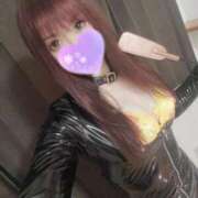 ヒメ日記 2025/11/28 22:01 投稿 筅(ささら) 黒薔薇