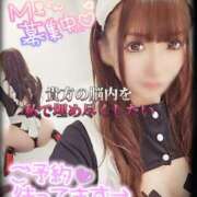 ヒメ日記 2026/01/22 12:02 投稿 筅(ささら) 黒薔薇