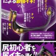 ヒメ日記 2026/04/06 17:02 投稿 筅(ささら) 黒薔薇