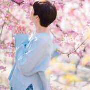 ヒメ日記 2025/03/17 20:45 投稿 藤原りん 川崎南町 素敵な奥様（川崎ハレ系）