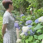 ヒメ日記 2025/07/01 21:45 投稿 藤原りん 川崎南町 素敵な奥様（川崎ハレ系）