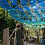 ヒメ日記 2025/12/14 21:45 投稿 藤原りん 川崎南町 素敵な奥様（川崎ハレ系）