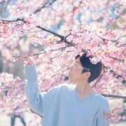 ヒメ日記 2026/02/28 21:04 投稿 藤原りん 川崎南町 素敵な奥様（川崎ハレ系）