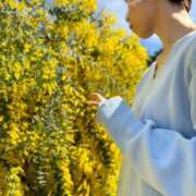 ヒメ日記 2026/03/08 21:45 投稿 藤原りん 川崎南町 素敵な奥様（川崎ハレ系）