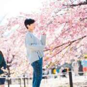 ヒメ日記 2026/03/17 12:15 投稿 藤原りん 川崎南町 素敵な奥様（川崎ハレ系）