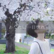 ヒメ日記 2026/04/06 12:15 投稿 藤原りん 川崎南町 素敵な奥様（川崎ハレ系）