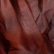 ヒメ日記 2026/01/02 15:00 投稿 よつば 加古川10,000円ポッキー