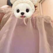 ヒメ日記 2025/06/10 17:00 投稿 まどか ふぞろいの人妻たち