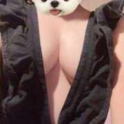 まどか おはよう ふぞろいの人妻たち