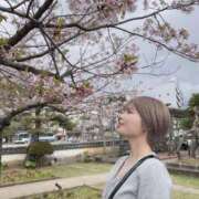 ヒメ日記 2025/04/12 17:48 投稿 リンゴ キャンディ(鹿児島)