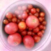 綾乃 いつもありがとうです♡ ニューヨーカー