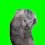 ヒメ日記 2025/01/11 15:02 投稿 ましろ ハンドキャンパス新宿