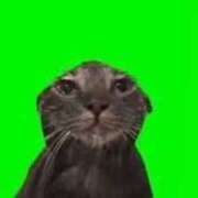 ヒメ日記 2025/03/24 15:51 投稿 ましろ ハンドキャンパス新宿