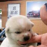 ヒメ日記 2025/04/24 11:21 投稿 ましろ ハンドキャンパス新宿