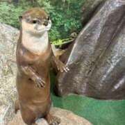 ヒメ日記 2025/05/31 05:41 投稿 ましろ ハンドキャンパス新宿