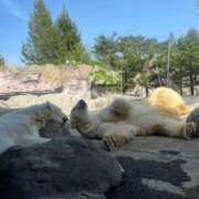 ヒメ日記 2025/06/21 16:23 投稿 ましろ ハンドキャンパス新宿