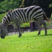ヒメ日記 2025/07/03 17:20 投稿 ましろ ハンドキャンパス新宿