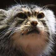 ヒメ日記 2025/07/08 21:07 投稿 ましろ ハンドキャンパス新宿