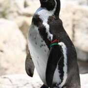 ヒメ日記 2025/08/21 15:08 投稿 ましろ ハンドキャンパス新宿