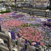 ヒメ日記 2025/05/01 11:03 投稿 みね 渋谷じゃっくす